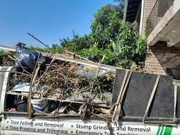 Best Hoarding Cleanup  in Union, KY